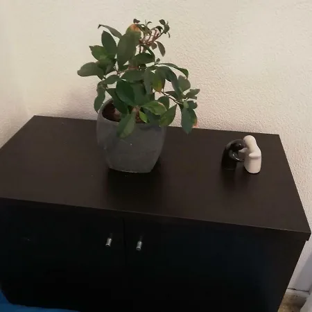 Renovated 2 Bedroom In Light House Appartement *